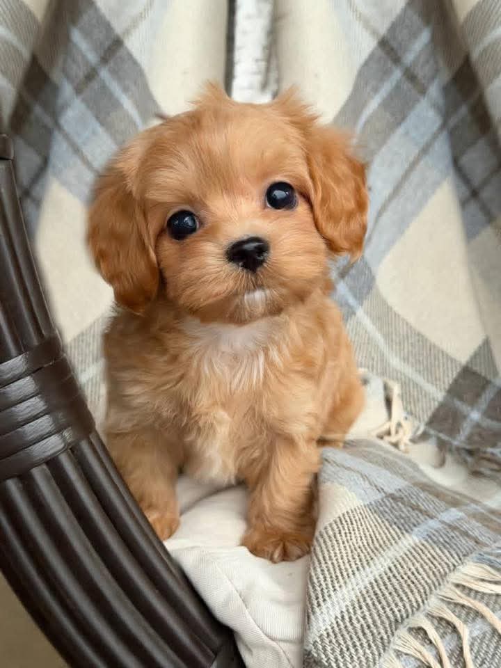 fb img 1772015854168